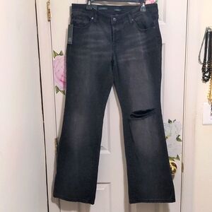 NWT Wild Fable Bootcut Jeans